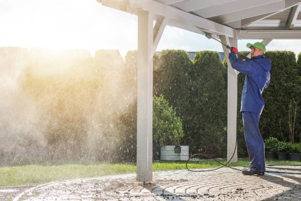 Best Animal Enclosure Cleaning  in Freeland, WA