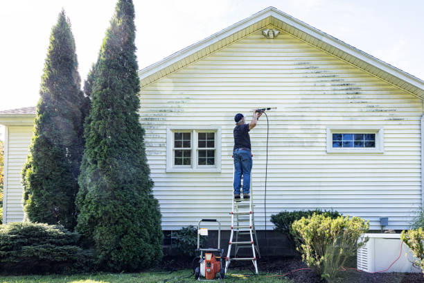 Professional  Pressure Washing Services in Freeland, WA