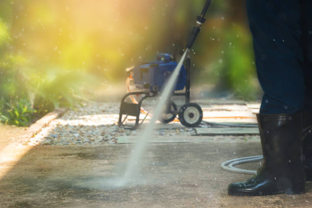 Best Solar Panel Cleaning  in Freeland, WA